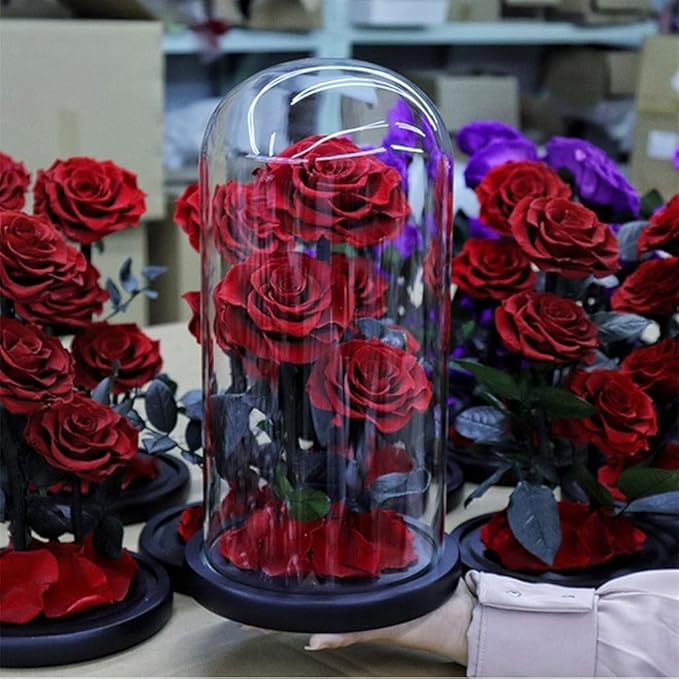 612drejiPSL._AC_SX679_ DHALADA UBAXA NAL LEH - Image 1