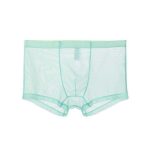 2pcs Sheer Men's Boxer Briefs Thin Ice Silk - Black/Green