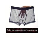 2pcs Sheer Men's Boxer Briefs Thin Ice Silk - Black/Green