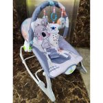 Baby Rocker -Infant To Toddler