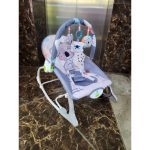 Baby Rocker -Infant To Toddler