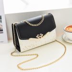 Fashionable Ladies Shoulder Bag Crossbody Single Shoulder Bag Coin Purse