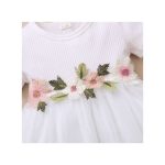 Infant Baby Girl Embroidery Flowers White Short Sleeves Princess Dress