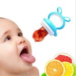 Pacifier Fruit Pacifier, Baby Teether