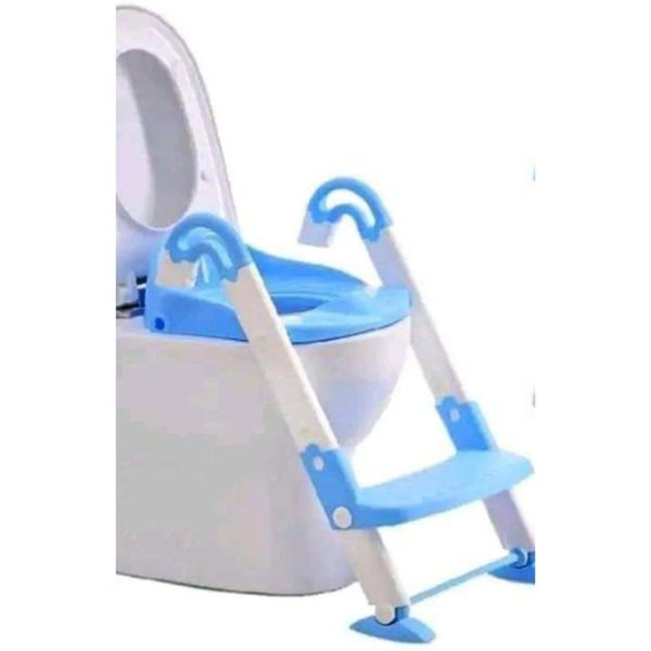 Potty training ladder