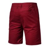 Soft Khaki Men`s Summer/Casual Shorts