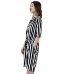 Women's Vintage Vertical Striped Short Sleeve and Shorts Jumpsuit