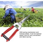 Dilute Fruit Shears Straight Blades Snips Flower