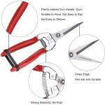 Dilute Fruit Shears Straight Blades Snips Flower