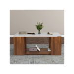 Julz Modern Design Coffee Table With Storage