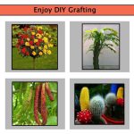 Professional Grafting Tool Kit with Grafting Tape and Replaceable Blades