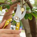 Pruning Scissors Garden Shears Pruner Branches Secateurs Orchard Flower Sharp Gardening Hand Florist Bonsai Cutters Mini Small Plant Floral Snips